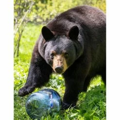 Flash Sale ⌛ BearVault BV450-Jaunt ✔️ -Big Agnes Sales Store BV450 b.jpgw3 rsz 25486.1654883155