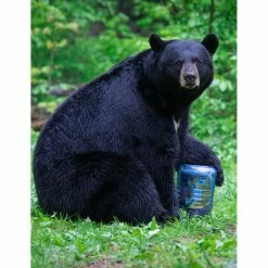 Wholesale 🥰 BearVault BV500-Journey 🎉 -Big Agnes Sales Store BV500 b rsz 79770.1654883686